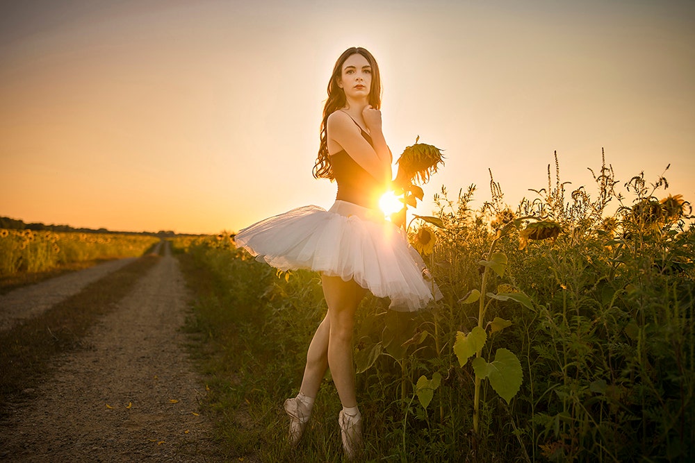 Sunflower Spectacular: Shooting with the SIGMA 28mm F1.4 DG HSM